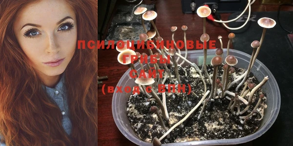 ГАЛЛЮЦИНОГЕННЫЕ ГРИБЫ Верхнеуральск