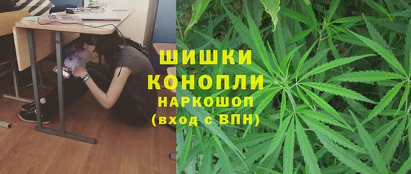 гашик Бородино